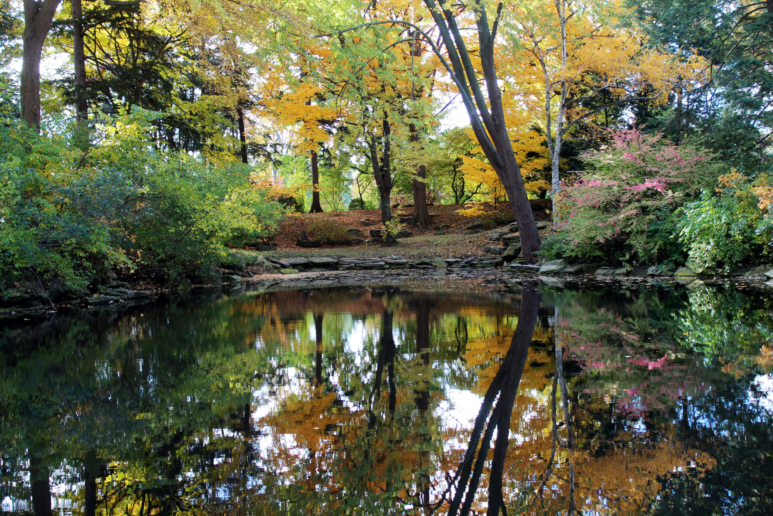 Autumn trees reflected in the still waters of the lagoon at Ford House, surrounded by colorful foliage and natural stone edges.