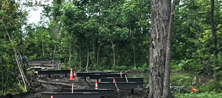 boardwalk-hero Construction progress on an elevated boardwalk through the wooded wetland near Ford House's Visitor Center, with black support beams and pink construction markers rising from muddy ground and reflective water, surrounded by tall trees and lush greenery.