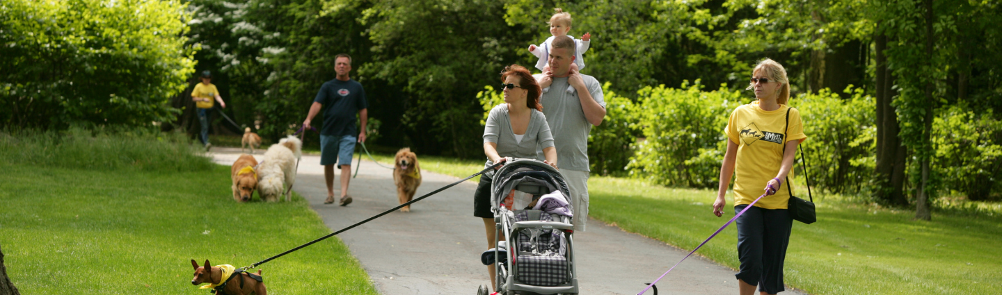 A group of people walking dogs along a paved path surrounded by lush greenery at Ford House. One person pushes a stroller, another carries a toddler on their shoulders, and several dogs of different breeds enjoy the summer day on leashes.