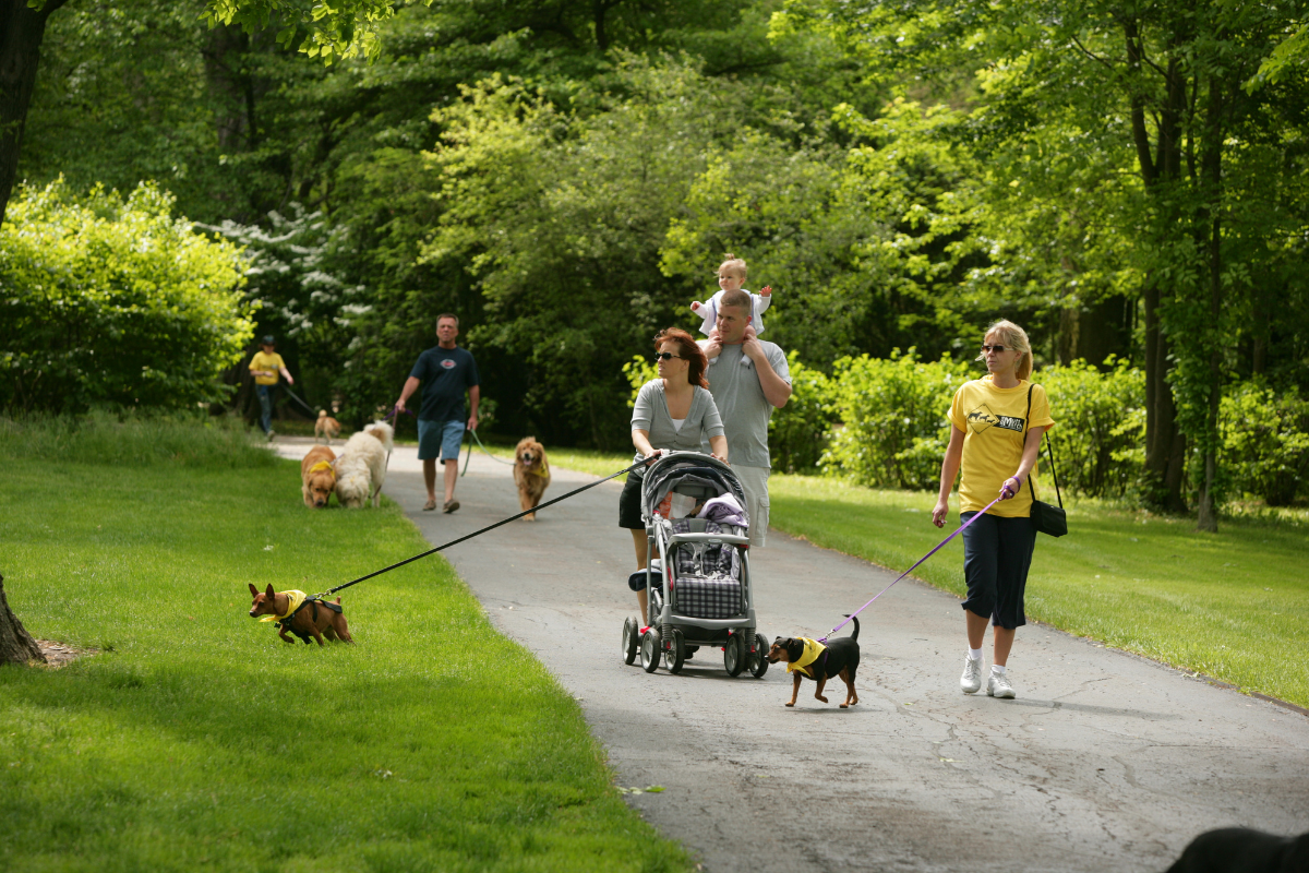 Families walk along a wooded path at Ford House with strollers, small children, and several leashed dogs of various breeds.