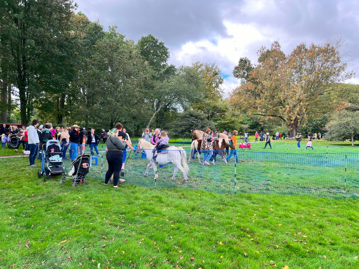 Families lined up around a fenced pony ride area at Harvest Day, with children riding ponies under cloudy skies.