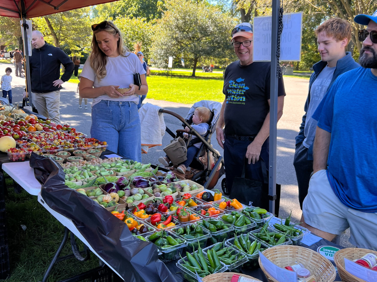 Farmers’ market stand at Harvest Day with colorful vegetables including peppers, tomatoes, and eggplants, with guests browsing.