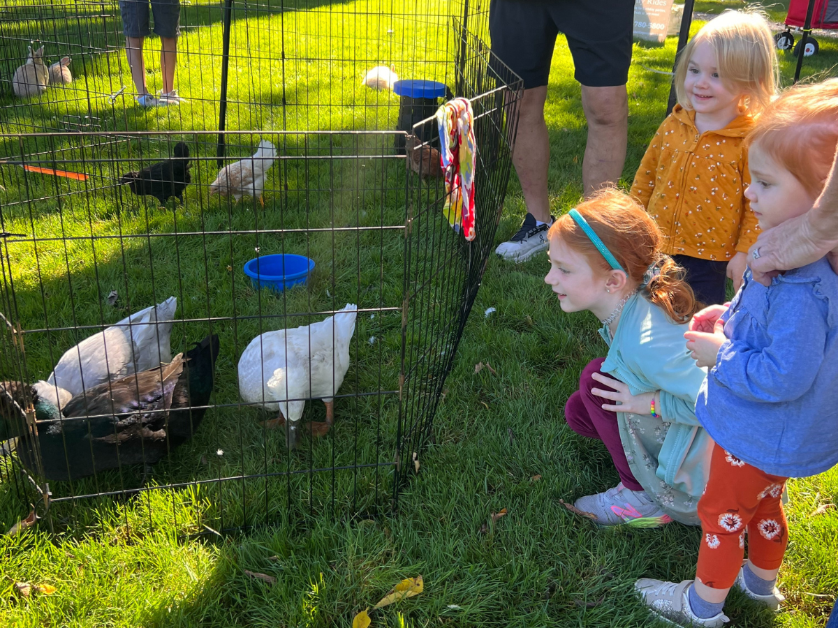 Young children smiling and crouching at a petting zoo enclosure with ducks and rabbits at Harvest Day.
