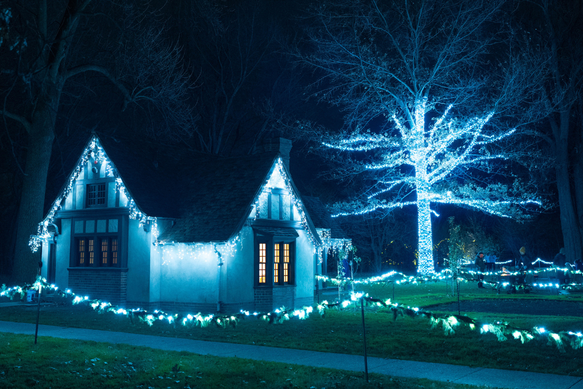 Josephine’s Playhouse outlined in blue holiday lights with a towering illuminated tree beside it during Home for the Holidays at Ford House.