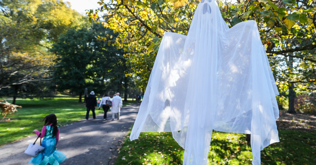 White ghost decoration hangs from a tree along the wooded trail at Ford House during the Little Goblins event.